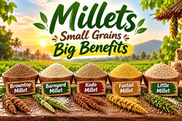 Foxtail vs Kodo vs Little vs Barnyard vs Browntop Millet: Which Should You Buy?
